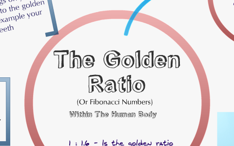 The Golden Ratio by Alyx Casey on Prezi