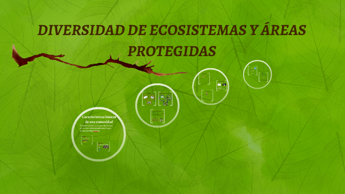 DIVERSIDAD DE ECOSISTEMAS Y AREAS PROTEGIDAS by Alondra Vazquez on Prezi