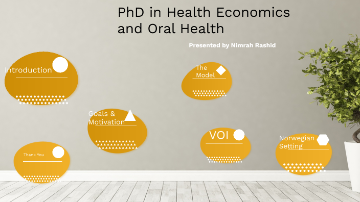 phd health economics usa