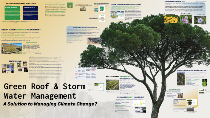 Image showcasing Green Roof & Storm Water Management by Alyssa Susi on Prezi