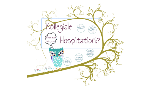 Kollegiale Hospitation By Flau Sen On Prezi