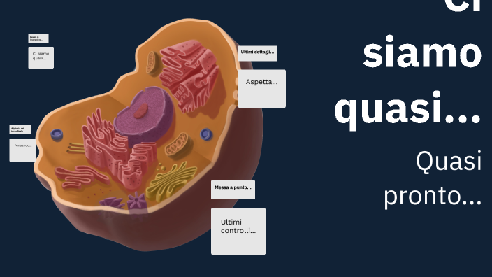 Cellule procariote ed eucariote by Antonio Godino on Prezi