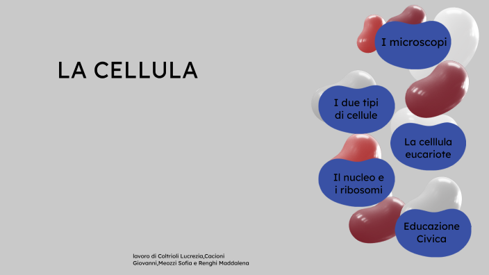 LA CELLULA by Maddalena Renghi on Prezi