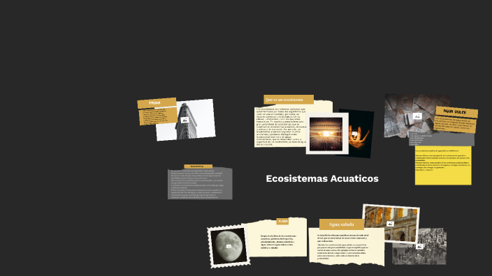 Ecosistemas Acuaticos by Nathan Martinez on Prezi