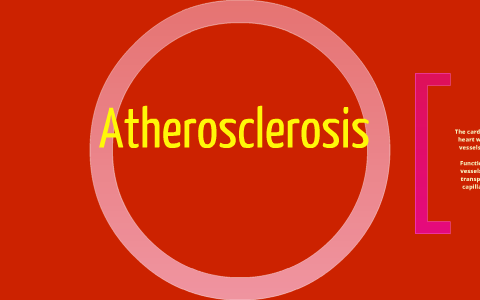 Athrosclerosis By Maggie Trimble On Prezi Next