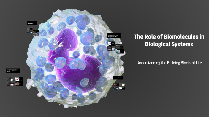 The Role of Biomolecules in Biological Systems by Alahna Batista ...