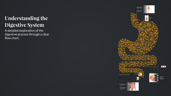 Understanding the Digestive System by Lincoln Roehl on Prezi
