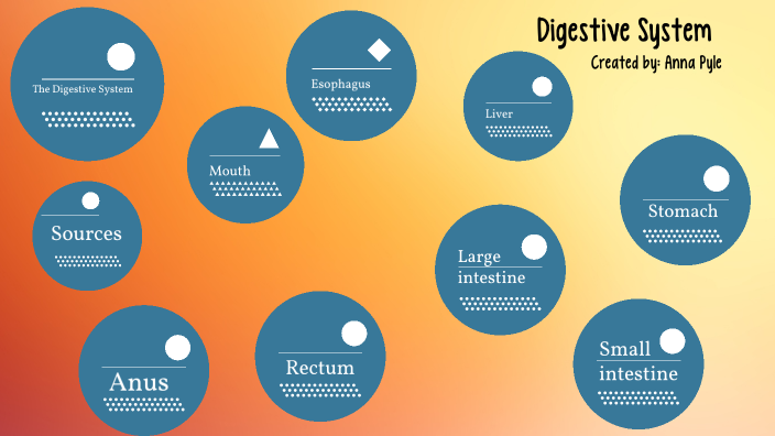 Digestive System by Anna Pyle on Prezi