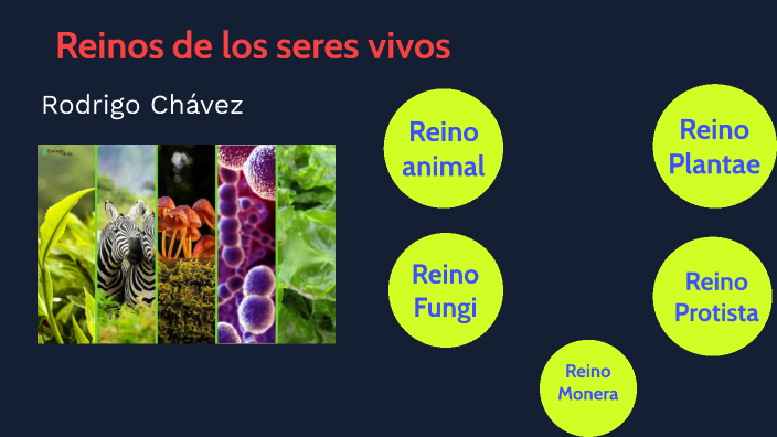 Reino De Lo Seres Vivos By Rodrigo Arturo Chavez Suarez On Prezi