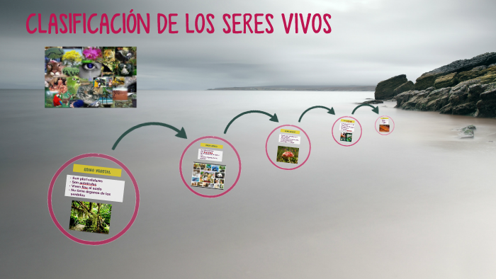 CLASIFICACIÓN DE LOS SERES VIVOS by Jhon Kayap on Prezi