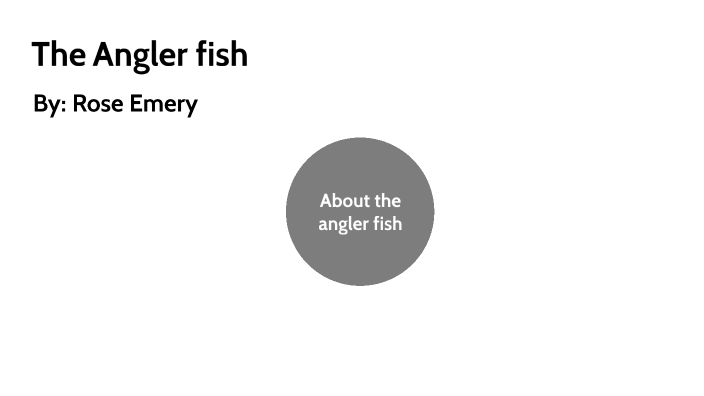 Angler fish by Rose Emery on Prezi