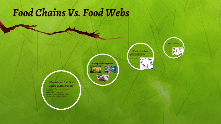 Food Chains Vs Food Webs by Caralyn Humphrey on Prezi Biology Diagrams