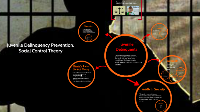 control theory juvenile delinquency
