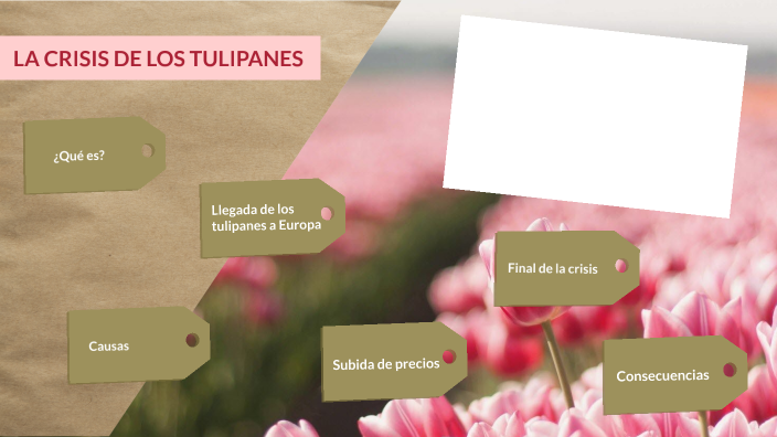 La crisis de los tulipanes. by alba B