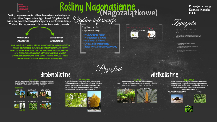 Jakie Sa Rosliny Nagonasienne - Rośliny Nagonasienne by Karolina Iwanicka on Prezi
