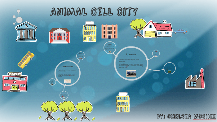 Animal Cell City by chelsea mcghee on Prezi