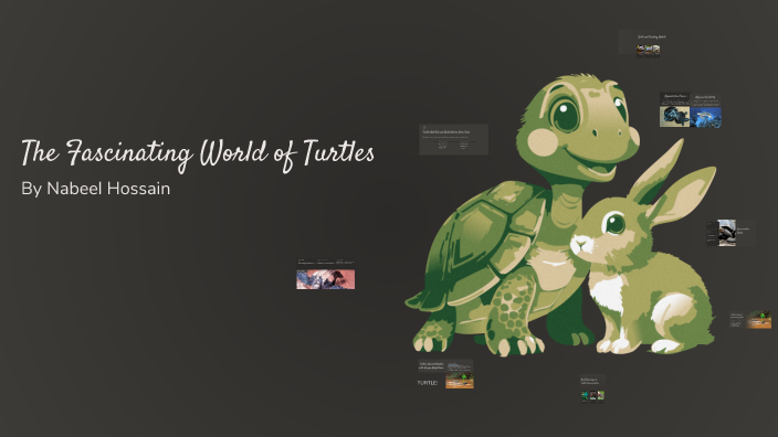 The Fascinating World of Turtles by Nabeel Hossain on Prezi