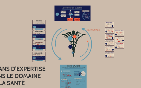 Le secteur de la santé by Justine Avenel on Prezi