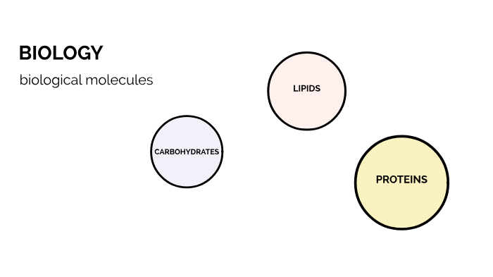 BIOLOGY biological molecules by hosny hosny on Prezi