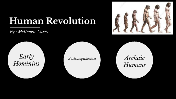 Human Evolution By McKenzie Curry On Prezi