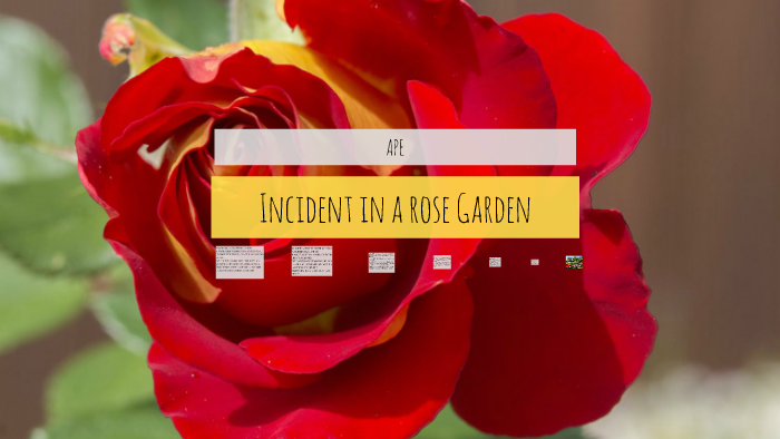 Incident In A Rose Garden By Dulce Olguin On Prezi