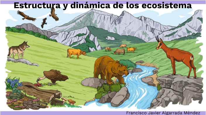 Estructura y dinámica de los ecosistemas by Fco Javier algarrada on Prezi