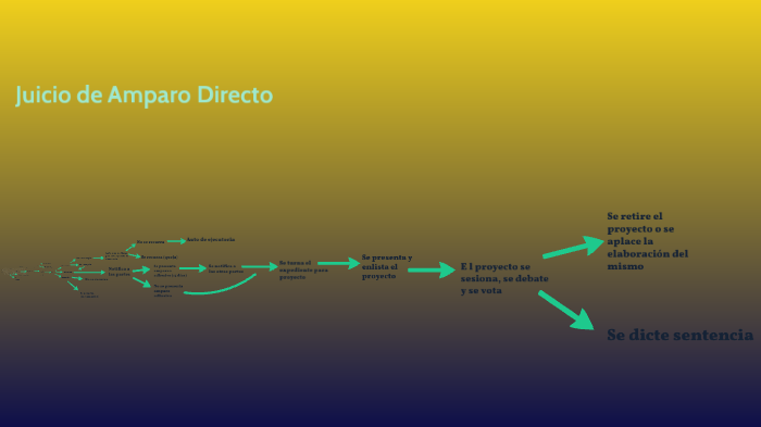 Juicio de Amparo Directo by Samantha Ramirez Olivares on Prezi