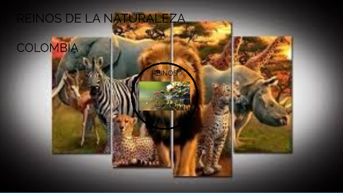reinos de la naturaleza by Pablo Caicedo on Prezi