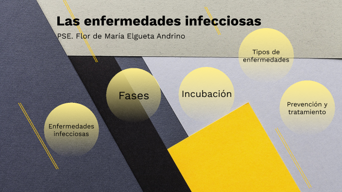 Las enfermedades infecciosas by Flor Elgueta