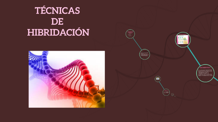 TÉCNICAS DE HIBRIDACIÓN by Yaray Ojeda Castilla on Prezi
