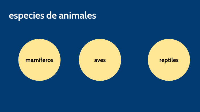 especie de animales by Matias Monsalve on Prezi