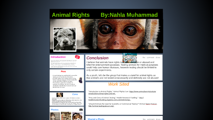 Animal Rights by Nahla Muhammad