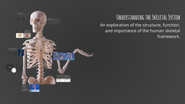 Understanding the Skeletal System by Camille Lira on Prezi
