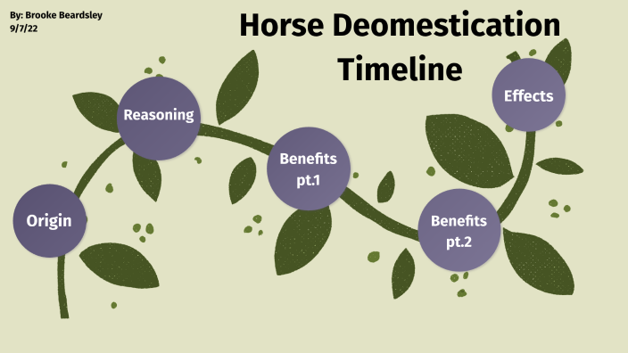 Brooke Beardsley - Horse Domestication TImeline by Brooke Beardsley on ...