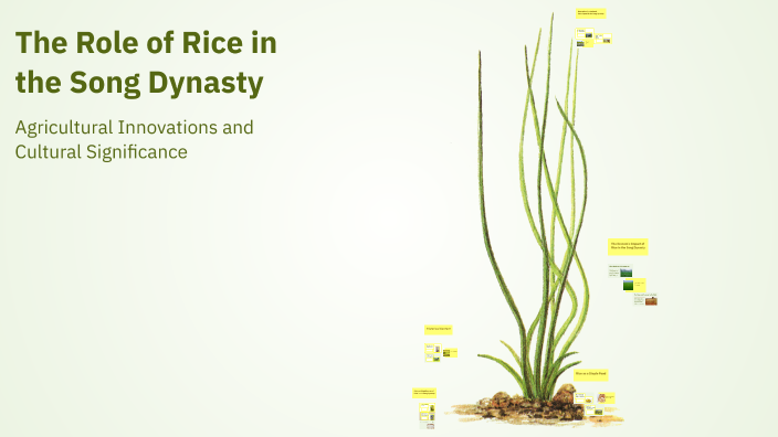 The Role of Rice in the Song Dynasty by Catherine Naidoo on Prezi