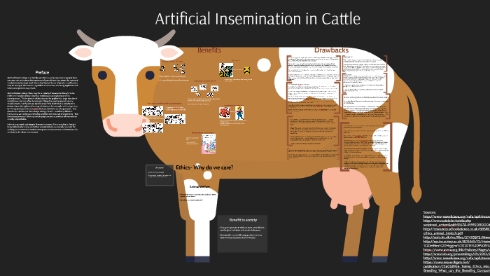 Artificial Insemination in Cattle by Rachel Endicott
