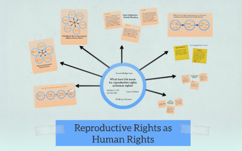 Reproductive Rights As Human Rights By Jacqueline Reid