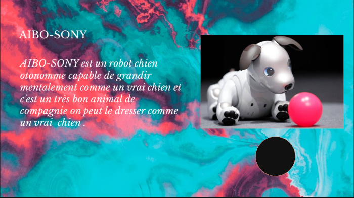 Aibo. De chien-robot à véritable animal de compagnie - Sciences et