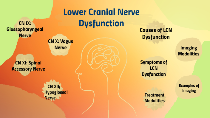 Lower Cranial Nerve Dysfunction by Tanya Rogers on Prezi