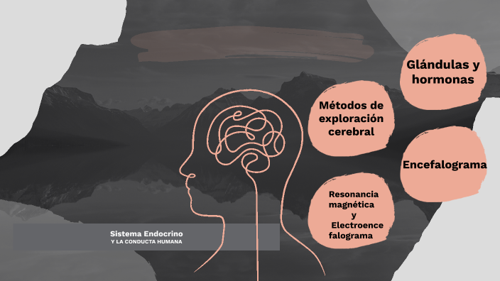 Sistema Endocrino y su influencia en la conducta humana by Liza Prado