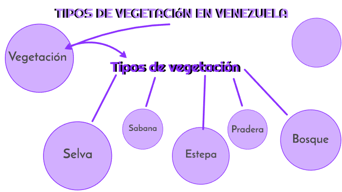 Tipos De Vegetación En Venezuela By Andrea Aguilar On Prezi 6875