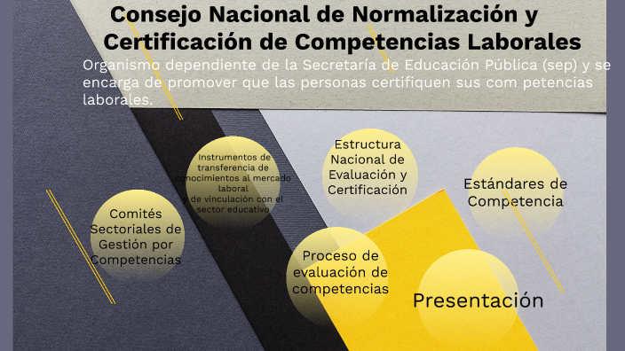 Consejo Nacional De Normalización Y Certificación De Competencias ...