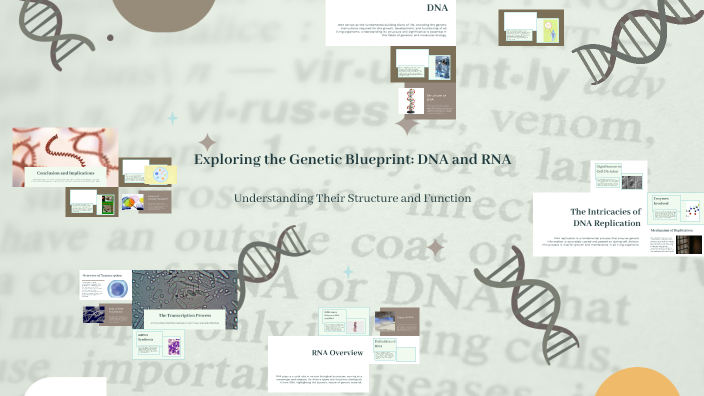 Understanding DNA and RNA by Carissa Ferrugia on Prezi
