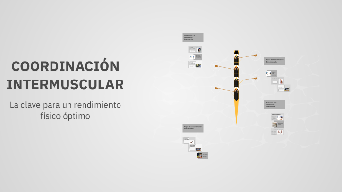 COORDINACIÓN INTERMUSCULAR by Isaac Smith Ariza Solano on Prezi