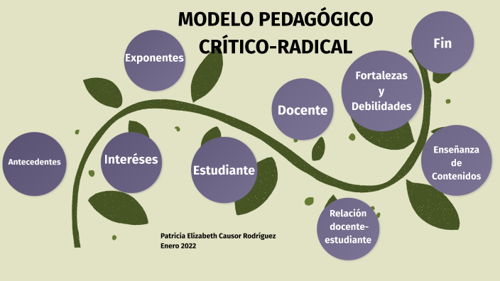 modelo critico-radical by patricia elizabeth causor rodriguez