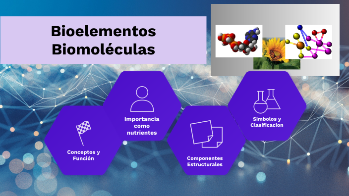 Bioelementos-Biomoléculas by Rodolfo Mendez on Prezi