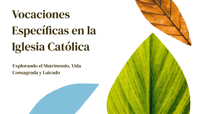 Vocaciones Específicas en la Iglesia Católica by Lusbi Noeli Garcia