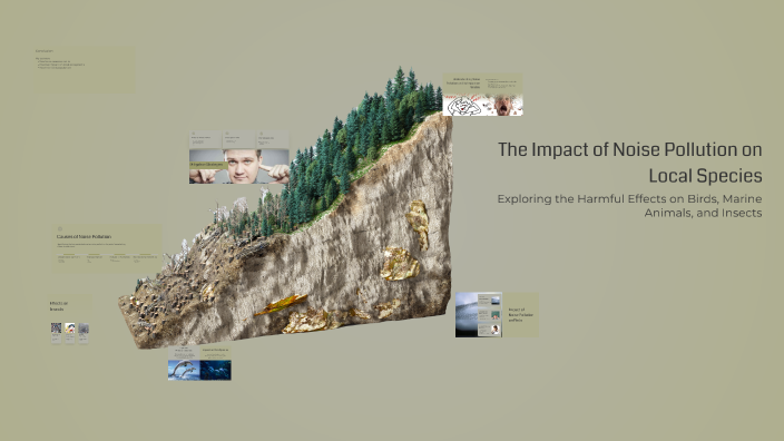 The Impact of Noise Pollution on Local Species by Winston Kelly Sanchez ...