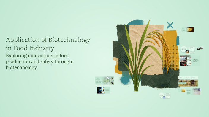 Application of Biotechnology in Food Industry by Chantre Toi on Prezi