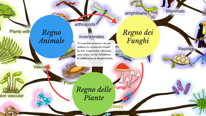 Regno animale, Regno dei funghi, Regno delle piante- La varietà dei ...